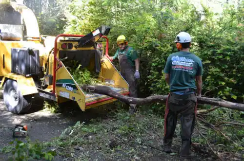 tree services Pike Road